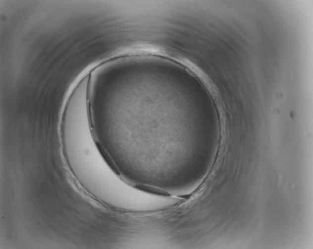 X0000080720864200612151157