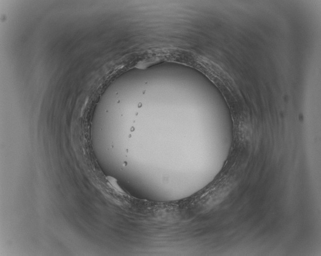 X0000080720865200612151156