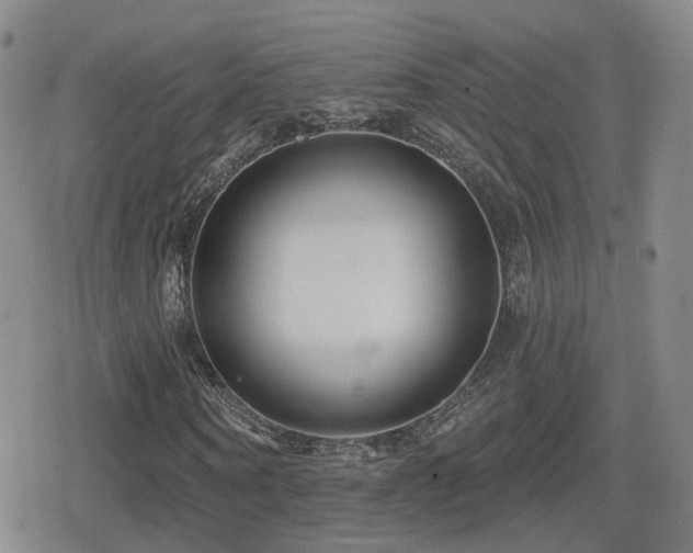 X0000080720866200612151156