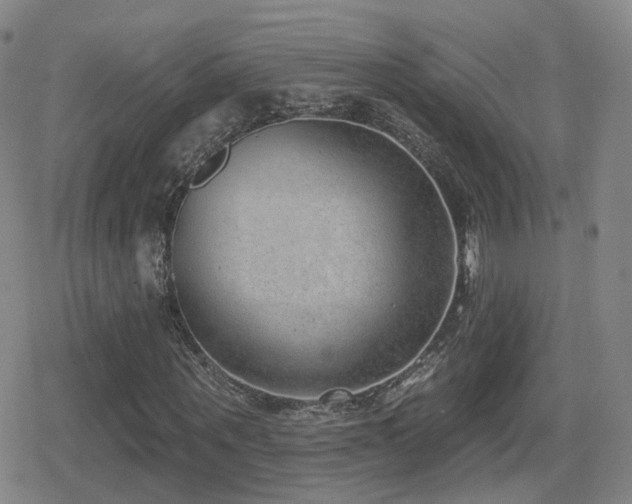 X0000080720867200612151156