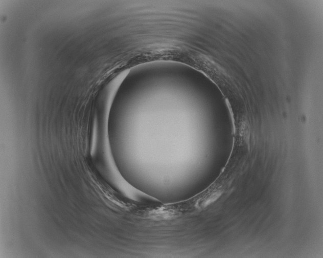 X0000080720868200612151156