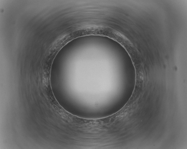 X0000080720869200612151156