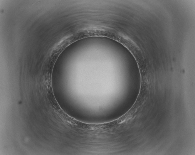 X0000080720870200612151156