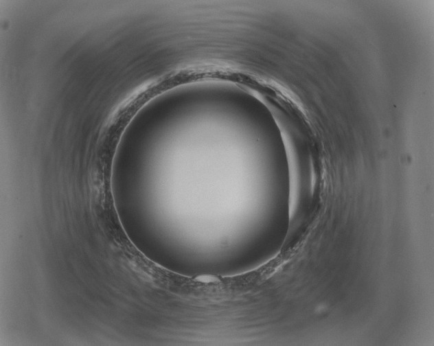 X0000080720872200612151156