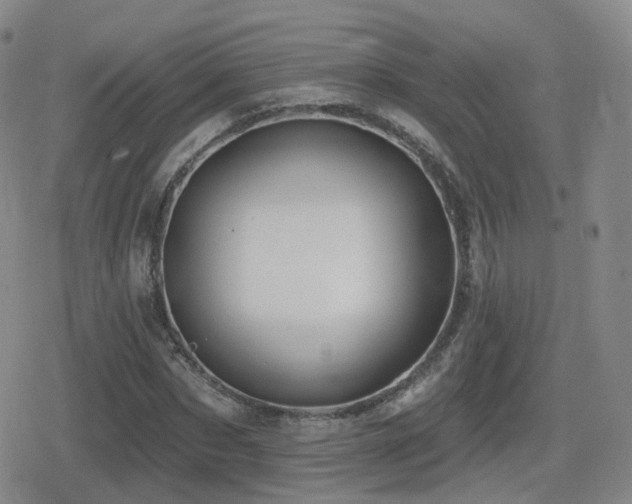 X0000080720873200612151156