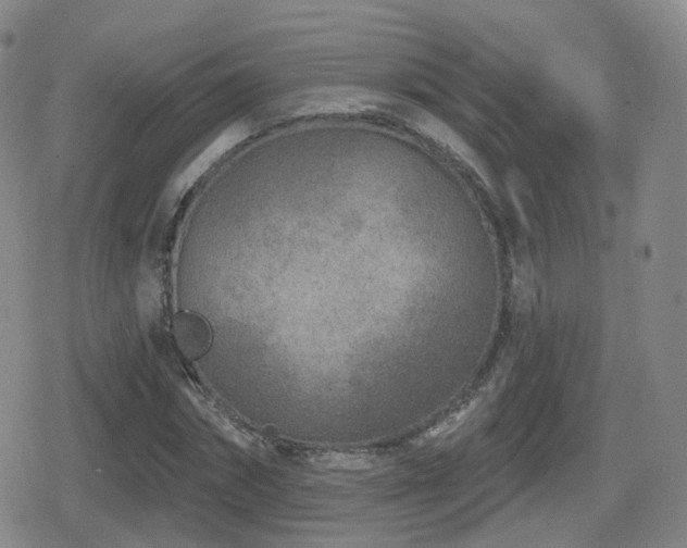 X0000080720874200612151156