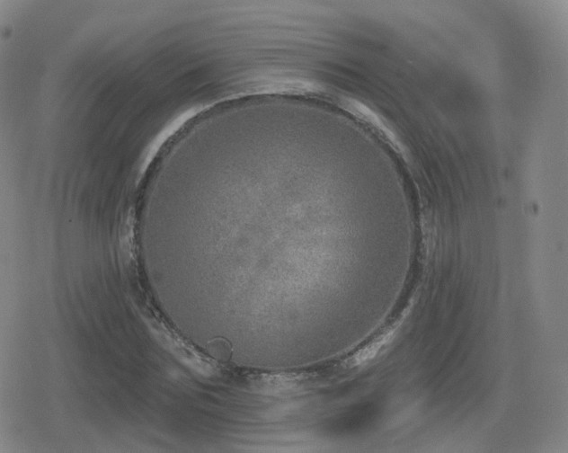 X0000080720875200612151156