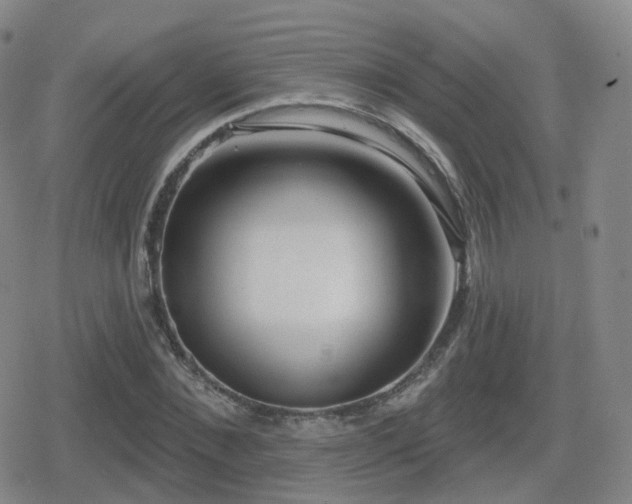 X0000080720876200612151156