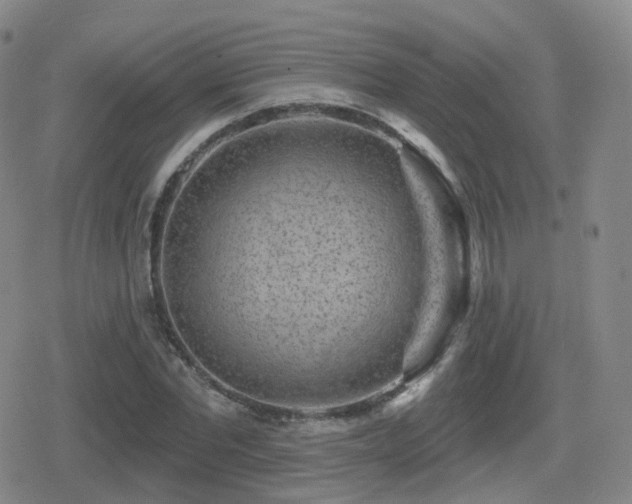 X0000080720877200612151156