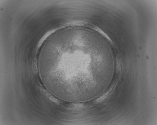 X0000080720878200612151156