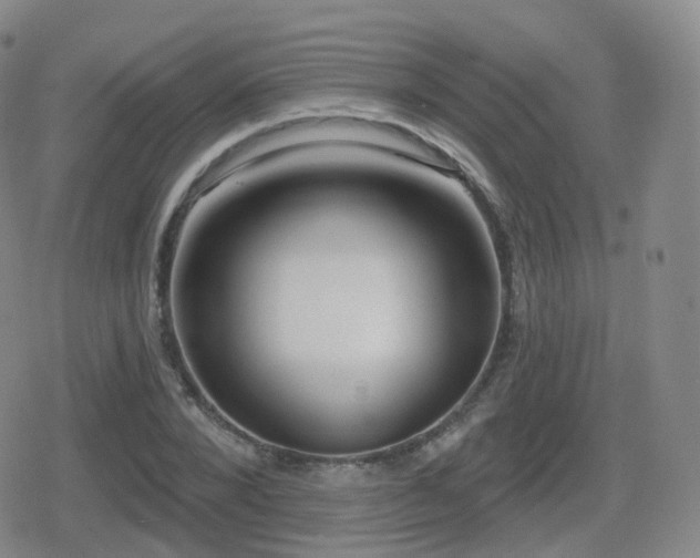 X0000080720880200612151156