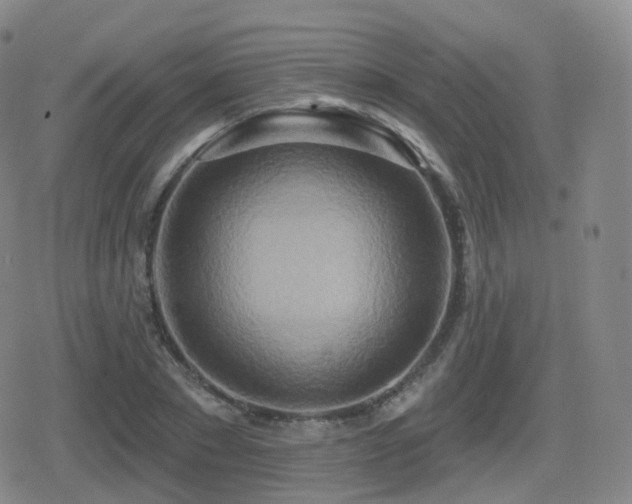 X0000080720881200612151156