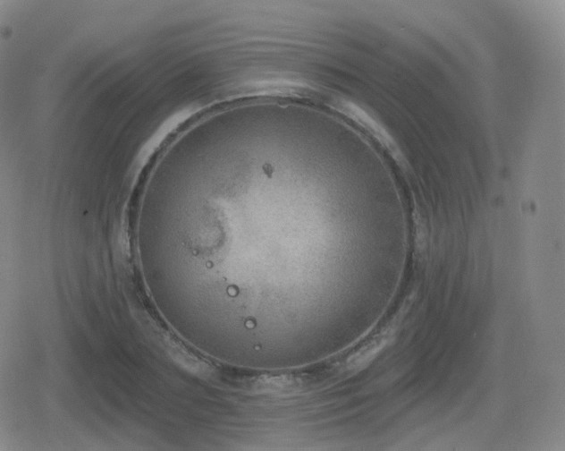 X0000080720883200612151156