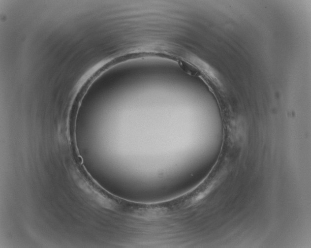 X0000080720884200612151156