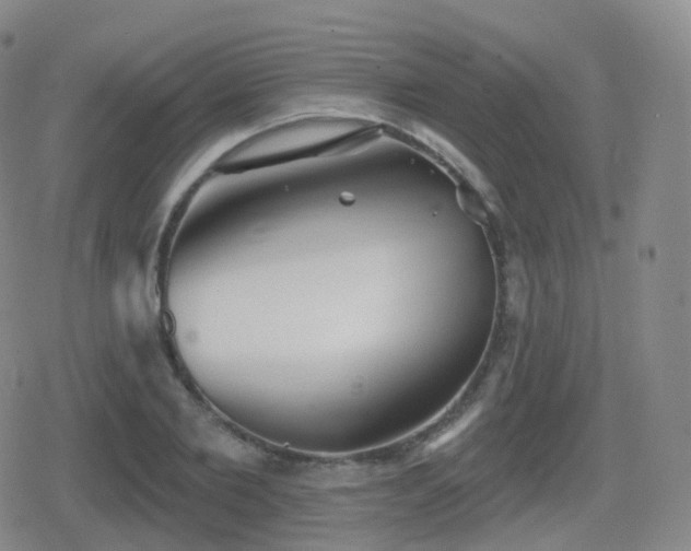 X0000080720885200612151156