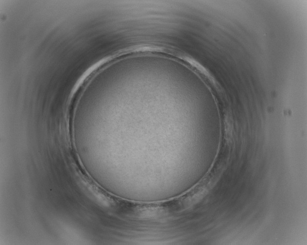 X0000080720886200612151156