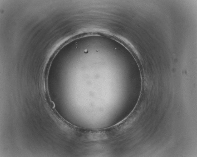 X0000080720887200612151156