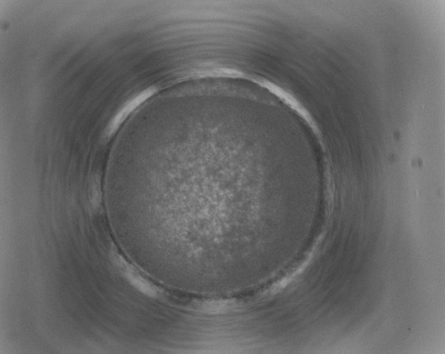 X0000080720889200612151156