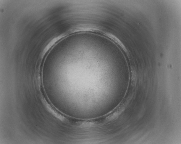 X0000080720890200612151156