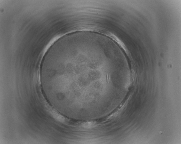 X0000080720891200612151156