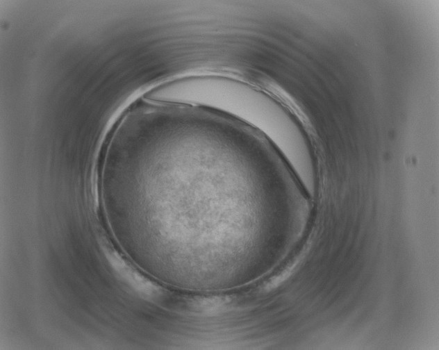 X0000080720892200612151156