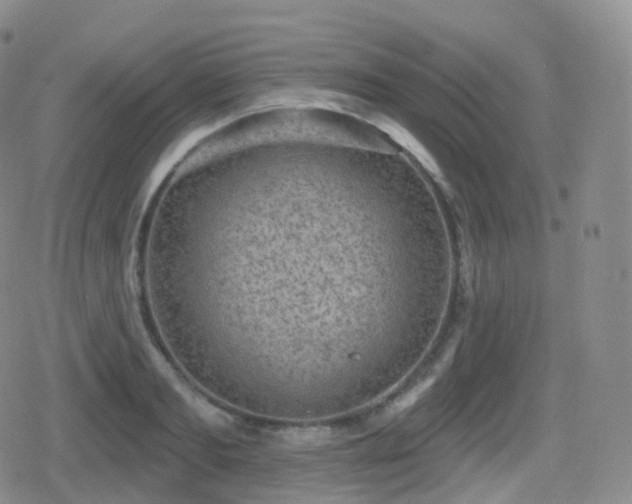 X0000080720893200612151156