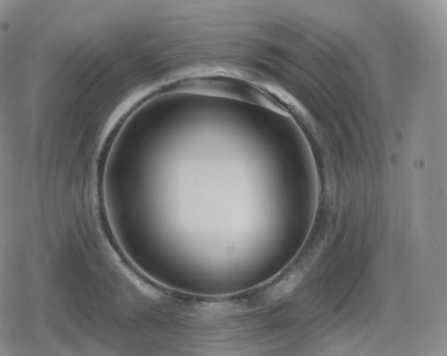 X0000080720894200612151156