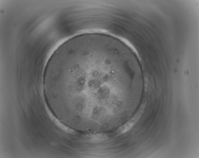 X0000080720895200612151156