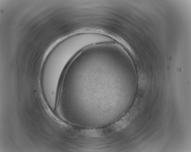 X0000080720896200612151156