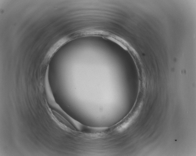 X0000080720897200612151156