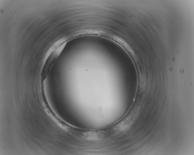 X0000080720898200612151156