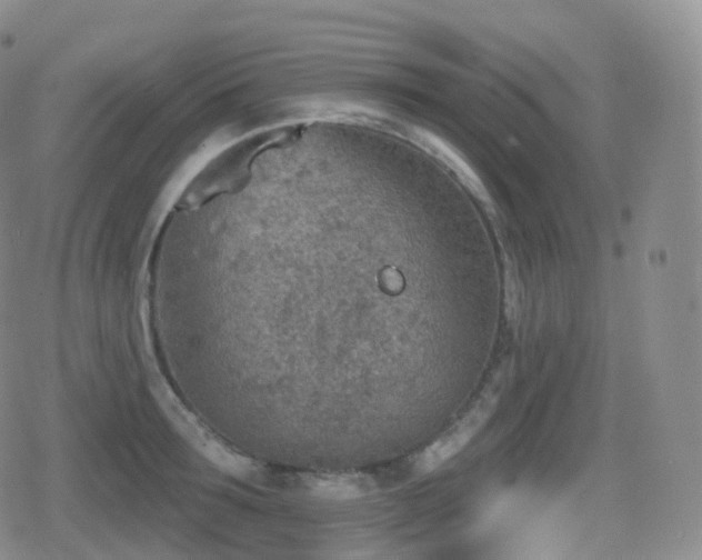 X0000080720899200612151156