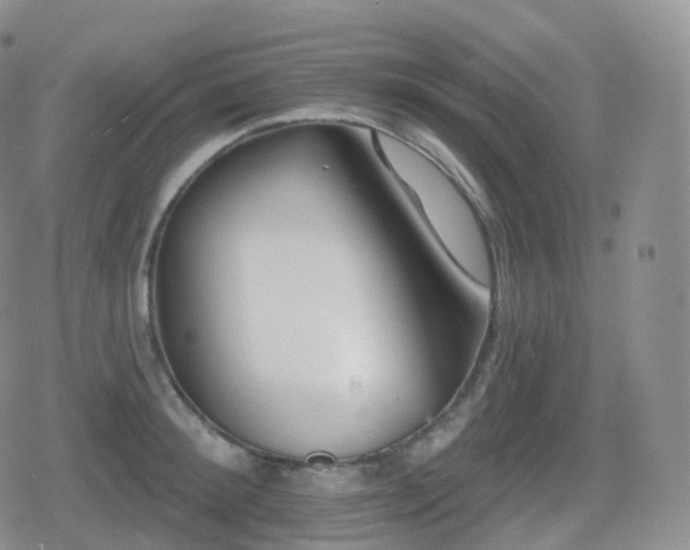 X0000080720900200612151156