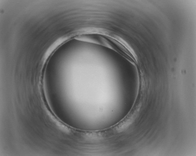 X0000080720901200612151156