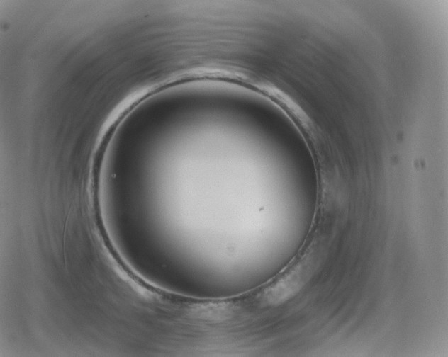 X0000080720902200612151156