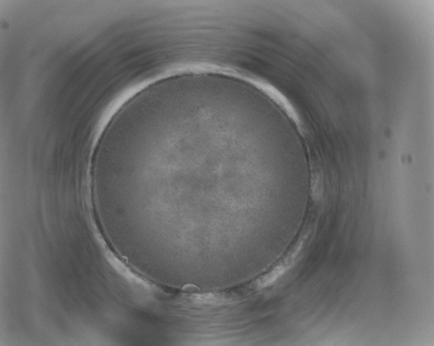 X0000080720903200612151156