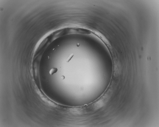 X0000080720904200612151156