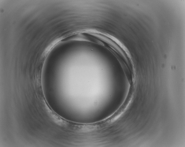 X0000080720905200612151156