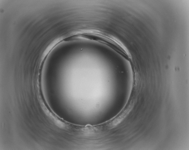 X0000080720906200612151156