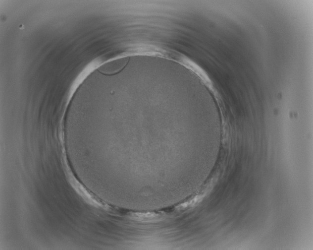 X0000080720907200612151156