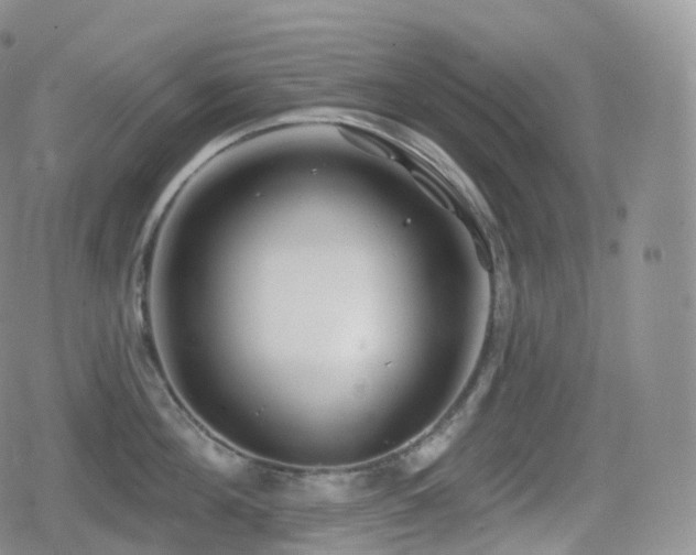 X0000080720908200612151156