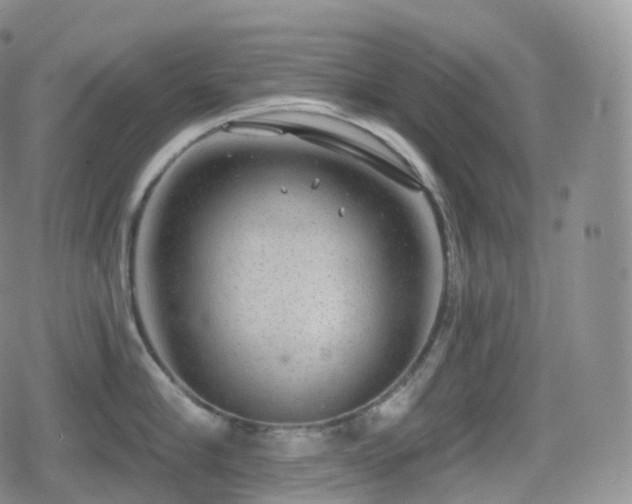 X0000080720910200612151156