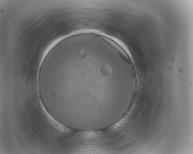 X0000080720911200612151156