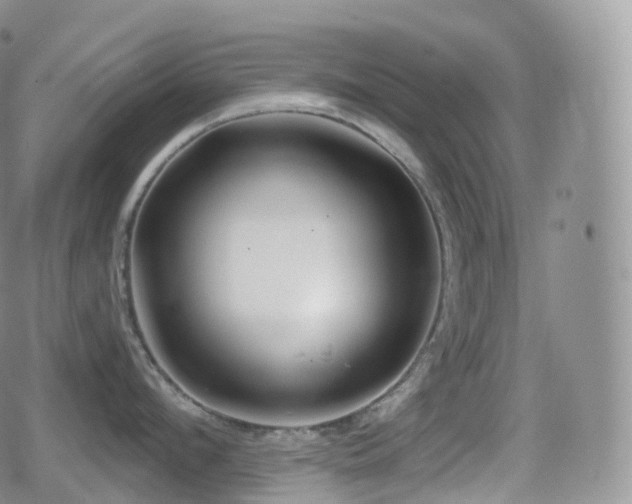 X0000080720912200612151156