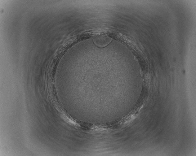 X0000080720913200612151155