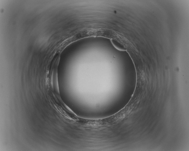 X0000080720914200612151155