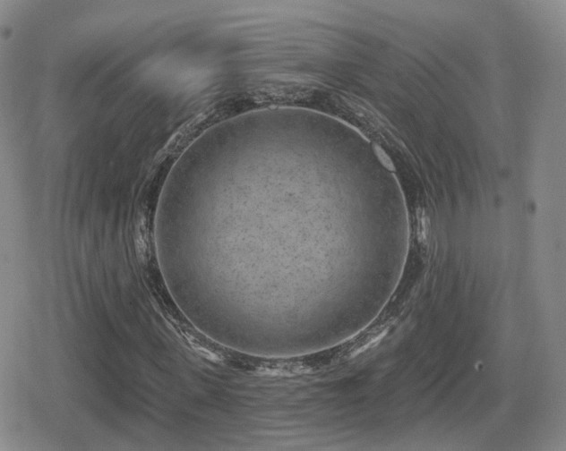 X0000080720915200612151155