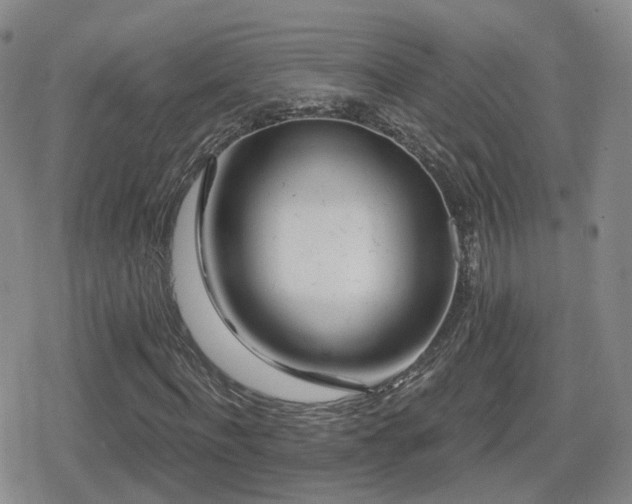 X0000080720916200612151155