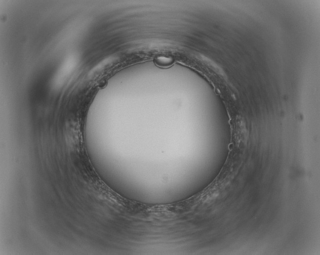 X0000080720918200612151155