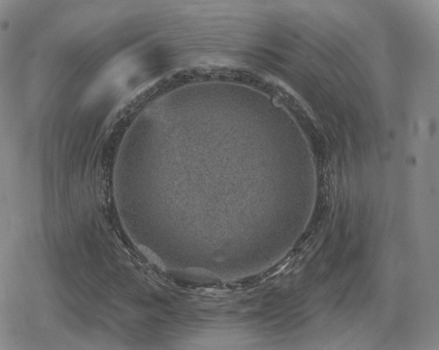 X0000080720919200612151155